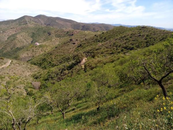 Terreno en Diseminado Diseminados, 1078