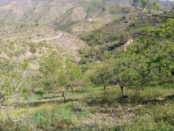 Terreno en Diseminado Diseminados, 1078