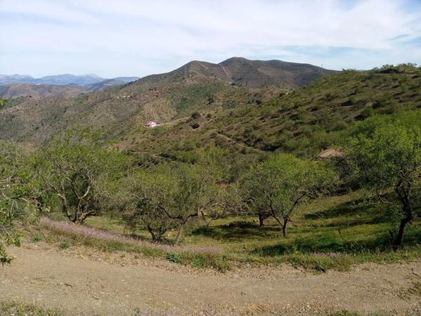 Terreno en Diseminado Diseminados, 1078