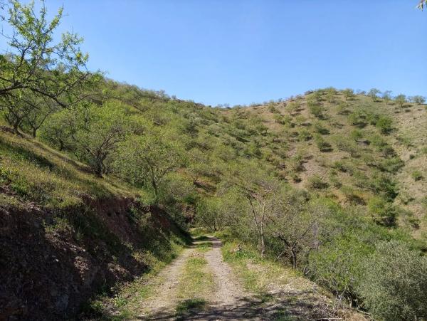 Terreno en Diseminado Diseminados, 1078