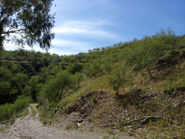 Terreno en Diseminado Diseminados, 1078