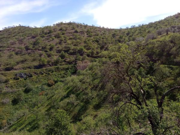 Terreno en Diseminado Diseminados, 1078