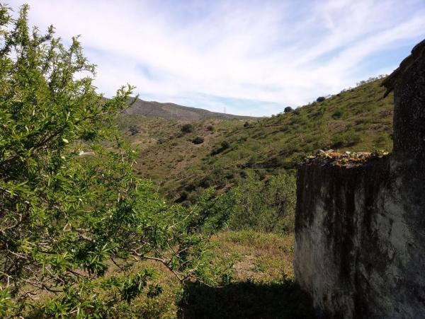 Terreno en Diseminado Diseminados, 1078