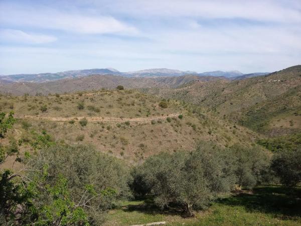 Terreno en Diseminado Diseminados, 1078