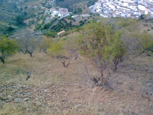 Terreno en Km4, km 4