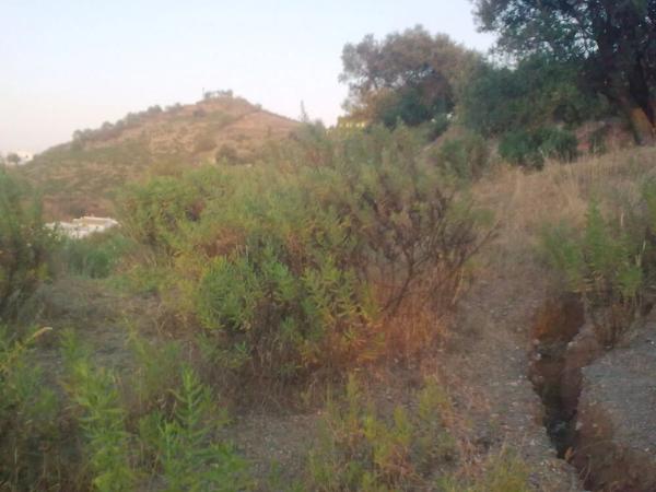 Terreno en Km4, km 4