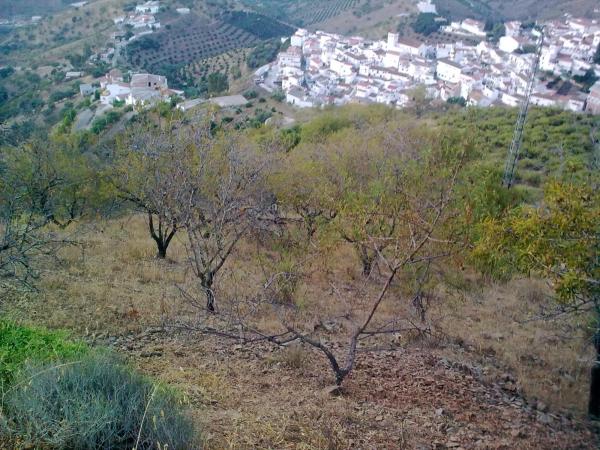 Terreno en Km4, km 4