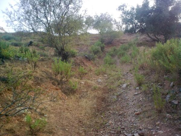 Terreno en Km4, km 4