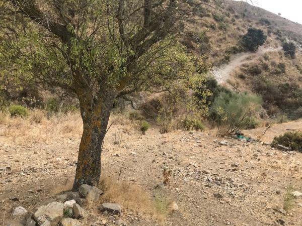 Terreno en Espino s/n