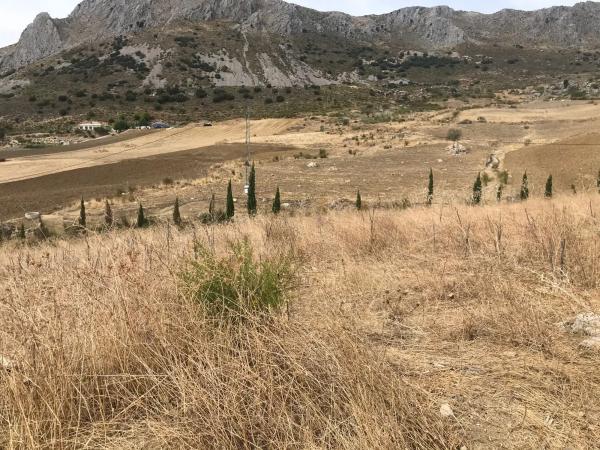 Terreno en Espino s/n