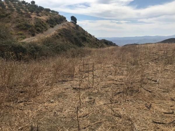 Terreno en Espino s/n