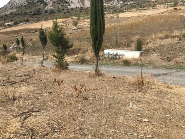 Terreno en Espino s/n