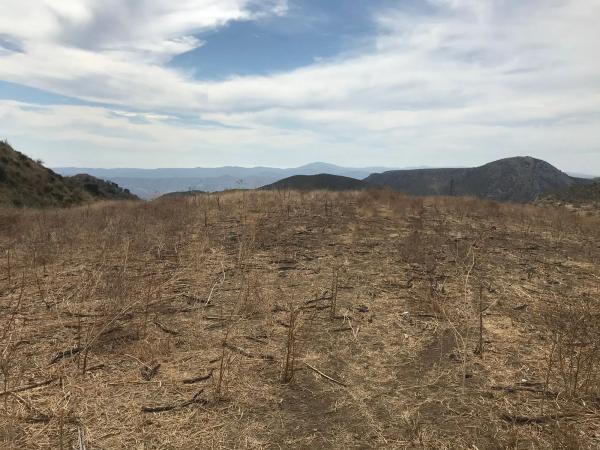 Terreno en Espino s/n