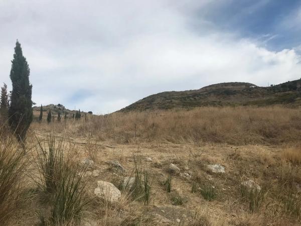 Terreno en Espino s/n