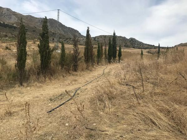 Terreno en Espino s/n