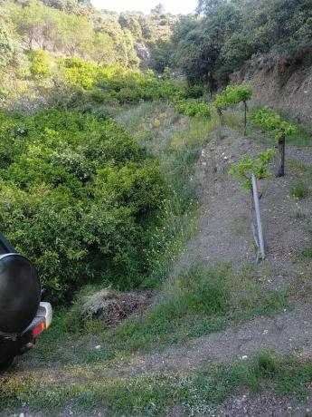 Terreno en carril del Pino, 1