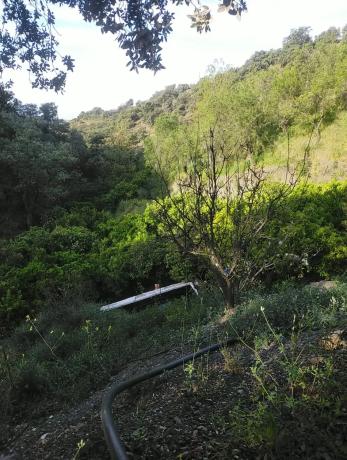 Terreno en carril del Pino, 1