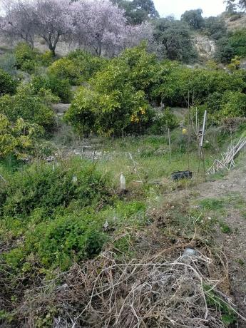 Terreno en carril del Pino, 1