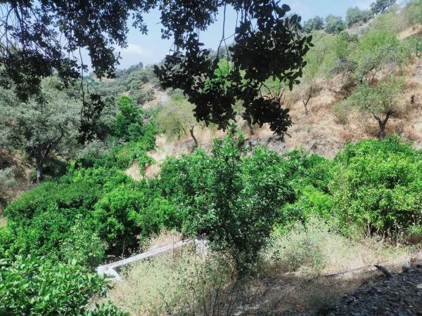 Terreno en carril del Pino, 1