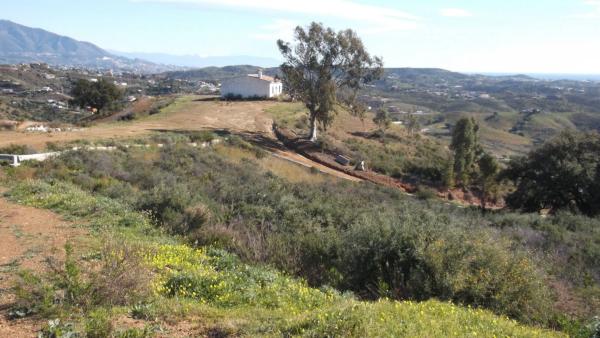 Terreno en Poligono 10 s/n sn