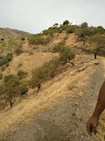 Terreno en carretera Arenas s/n