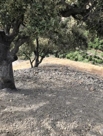 Terreno en carretera Arenas s/n