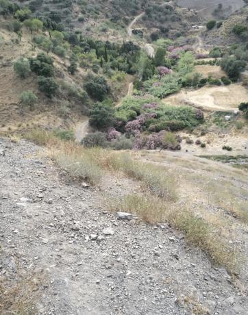 Terreno en carretera Arenas s/n