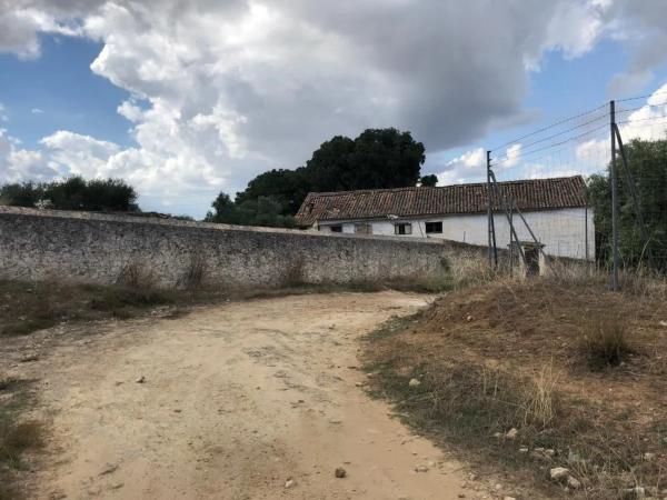 Terreno en Partidas norte