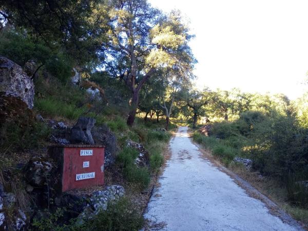 Terreno en Quejigal s/n