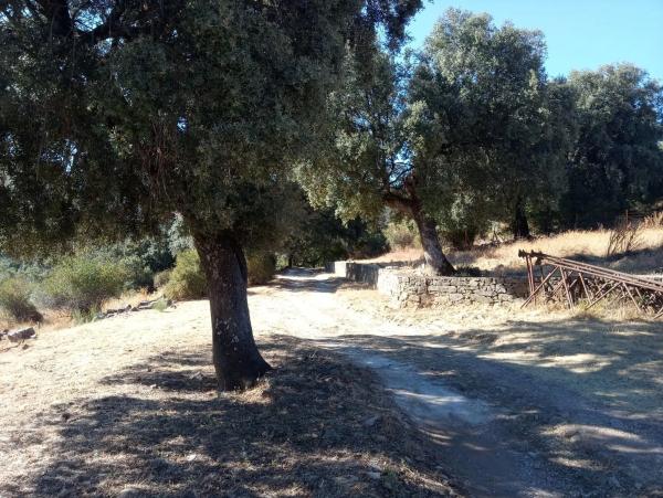 Terreno en Quejigal s/n