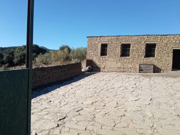 Terreno en Quejigal s/n