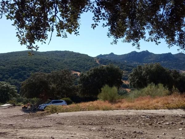 Terreno en Quejigal s/n