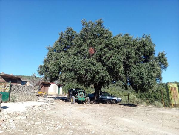 Terreno en Quejigal s/n