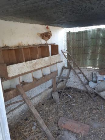 Terreno en calle del Arroyo de los Morenos s/n sn