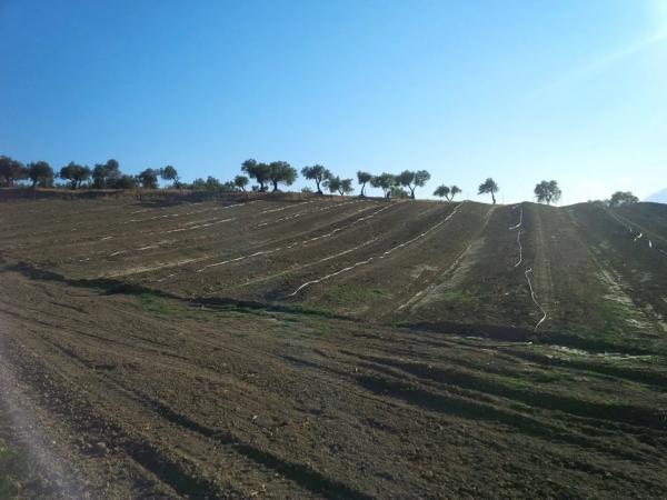 Terreno en ma-3300 s/n