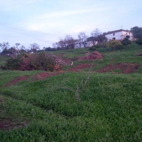 Terreno en ma-3300 s/n