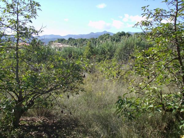 Terreno en Zona Piamonte s/n