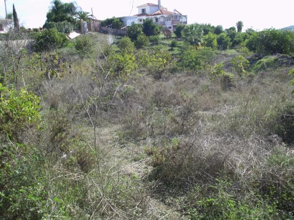 Terreno en Zona Piamonte s/n