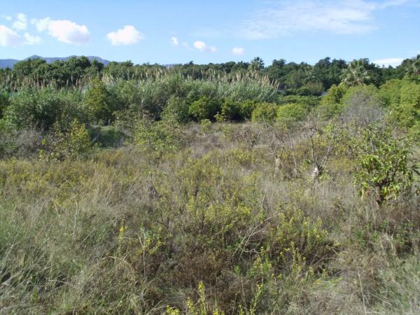 Terreno en Zona Piamonte s/n