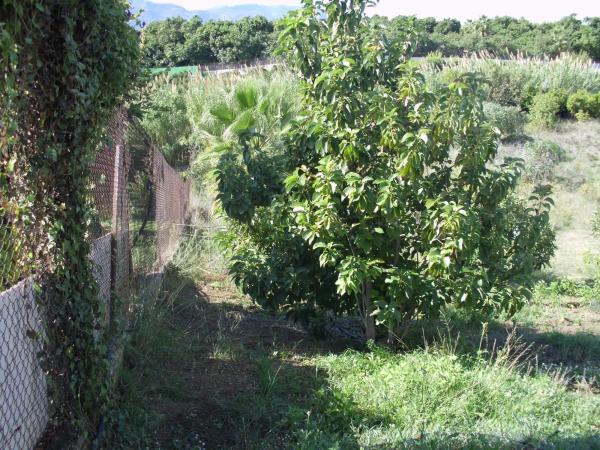 Terreno en Zona Piamonte s/n