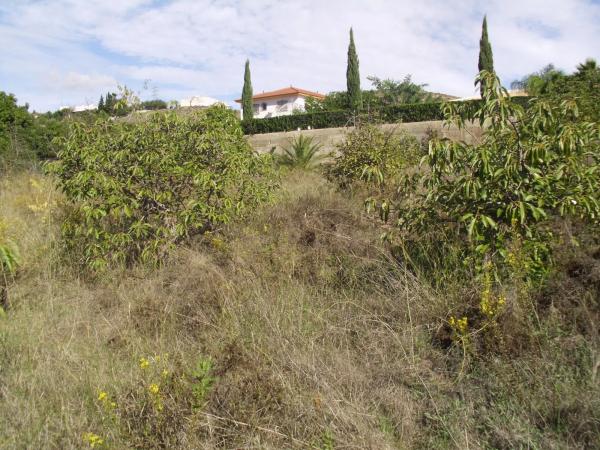 Terreno en Zona Piamonte s/n