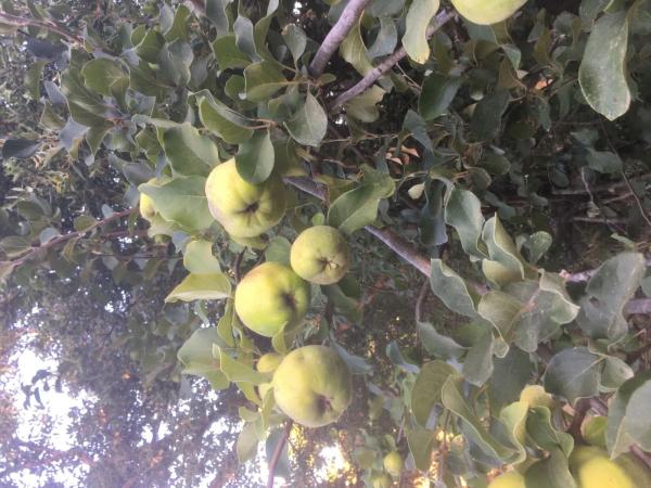 Terreno en Diseminado Poligono 14, 28