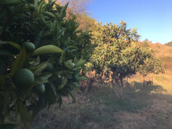 Terreno en Diseminado Poligono 14, 28