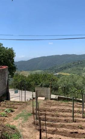 Terreno en calle de las Piedras, 63