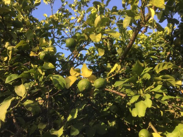 Terreno en Diseminado Poligono 14, 28