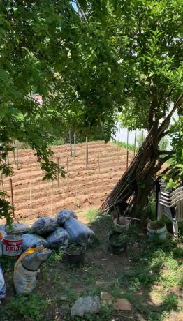 Terreno en calle de las Piedras, 63