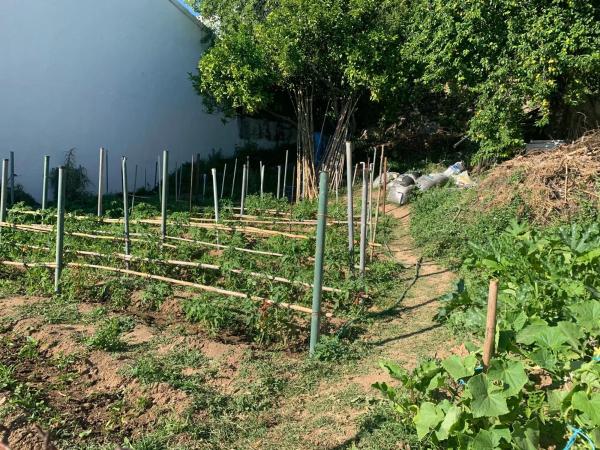 Terreno en calle de las Piedras, 63