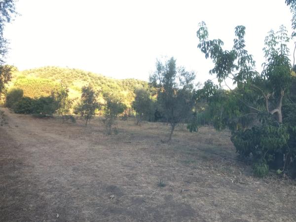 Terreno en Diseminado Poligono 14, 28