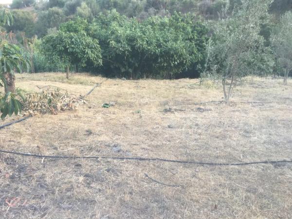 Terreno en Diseminado Poligono 14, 28