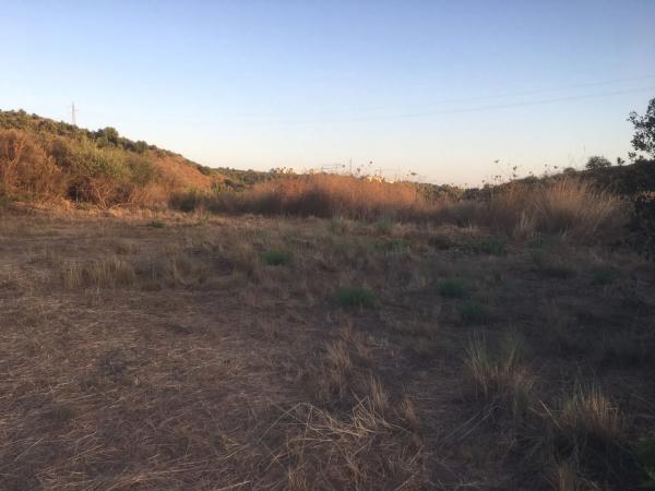 Terreno en Diseminado Poligono 14, 28